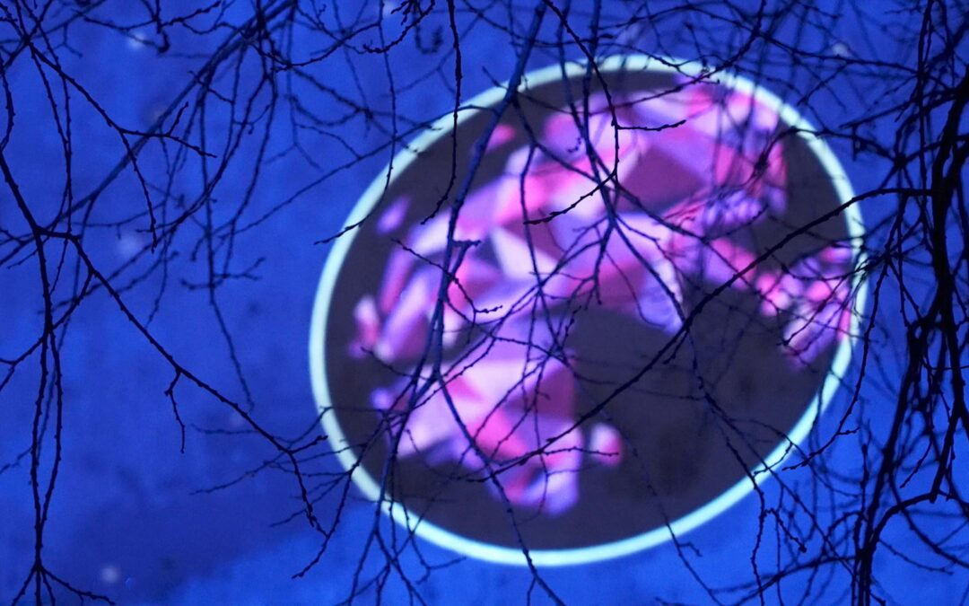 Oulu | Winter Light Festival